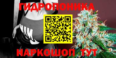 первитин Будённовск