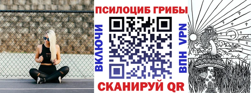 Галлюциногенные грибы Cubensis  Заволжье 