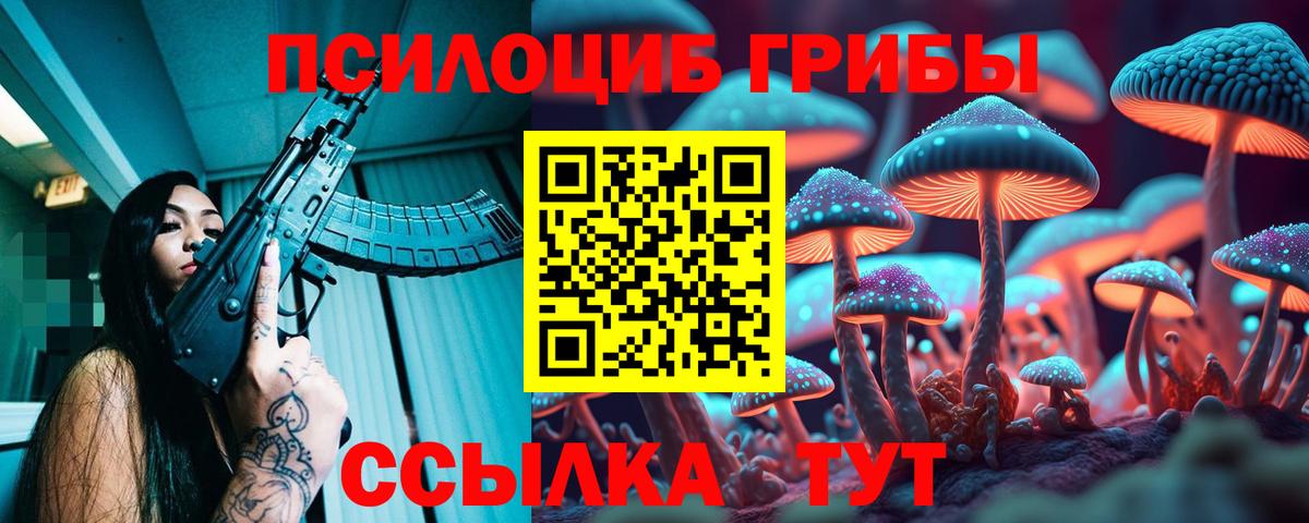 Галлюциногенные грибы Psilocybe  Вход с VPN  купить наркотики сайты  Заволжье 