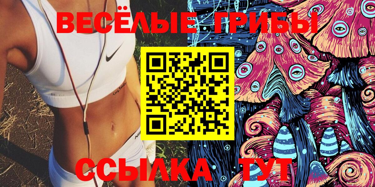 Псилоцибиновые грибы GOLDEN TEACHER Заволжье